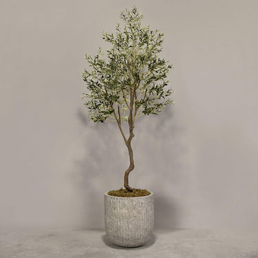 Desginers Collection-Artificial Olive Tree With Pot-Bloomr