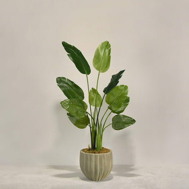 Desginers Collection-Artificial Travelers Palm with Pot-Bloomr