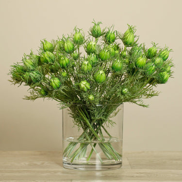 Floral Arrangement-Artificial Nigella Arrangement in Glass Vase-Bloomr