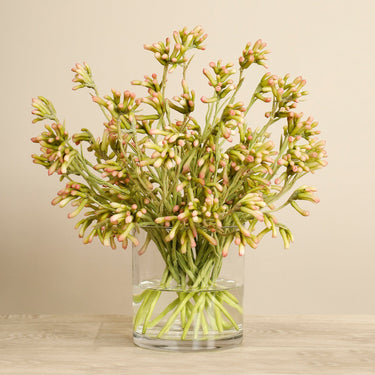 Floral Arrangement-Artificial Kangaroo Paw Arrangement-Bloomr