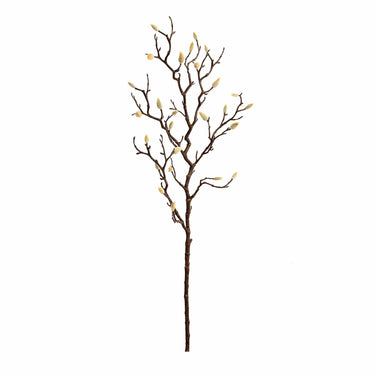 Flowers-Magnolia-Bloomr