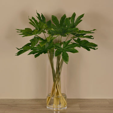 Floral Arrangement-Aralia Leaf Arrangement in Glass Vase-Bloomr