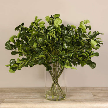 Flowers-Artificial Money Plant Arrangement in Glass Vase-Bloomr