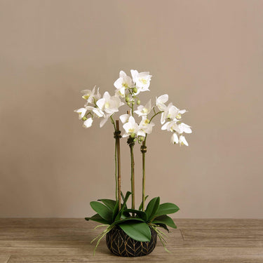 Flowers-Artificial Orchid Arrangement-Bloomr