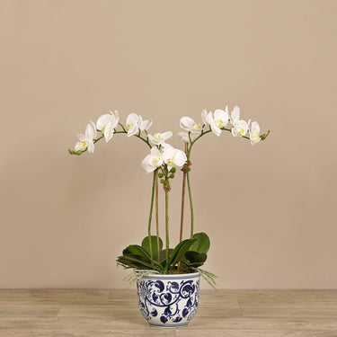 Flowers-Artificial Orchid Arrangement-Bloomr