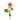 Flowers-Austria Rose-Bloomr
