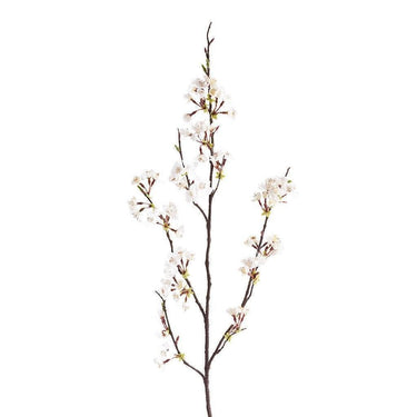 Flowers-Blossom Spray-Bloomr