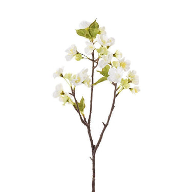 Flowers-Cherry Blossom-Bloomr