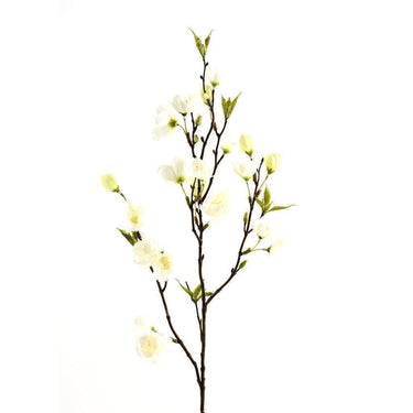 Flowers-Cherry Blossom-Bloomr