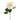 Flowers-Dahlia-Bloomr