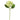 Flowers-Hydrangea-Bloomr