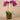 Flowers-Artificial Orchid Arrangement-Bloomr
