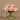Flowers-Artificial Rose Arrangement in Glass Vase-Bloomr