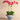 Flowers-Moroccan Orchid Arrangement-Bloomr