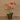 Flowers-Artificial Orchid Arrangement-Bloomr
