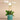 Flowers-Orchid Arrangement in Ceramic Vase-Bloomr