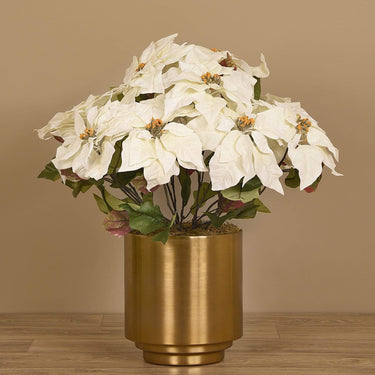 Flowers-Poinsettia Arrangement in Metal Vase-Bloomr