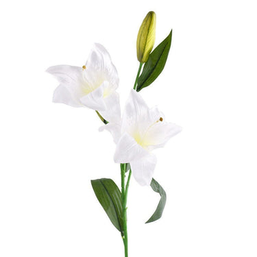Flowers-Lily-Bloomr