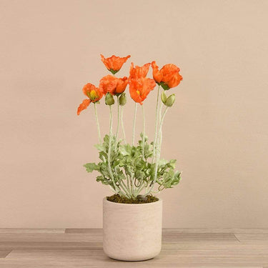 Floral Arrangement-Artificial Potted Poppy-Bloomr