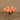 Flowers-Rose Arrangement in Glass Vase-Bloomr