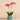 Flowers-Orchid Arrangement in Ceramic Vase-Bloomr