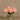 Flowers-Artificial Rose Arrangement in Glass Vase-Bloomr
