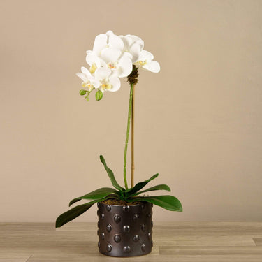Flowers-Artificial Orchid Arrangement (Discontinued)-Bloomr