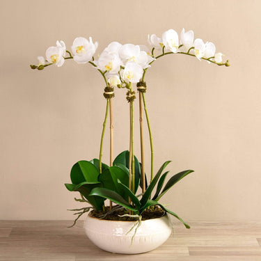 Flowers-Greenhouse Artificial Orchid Arrangement-Bloomr