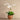 Flowers-Artificial Orchid Arrangement-Bloomr