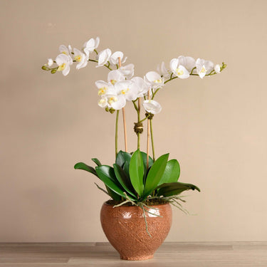Flowers-Artificial Orchid Arrangement-Bloomr
