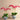 Flowers-Moroccan Orchid Arrangement-Bloomr
