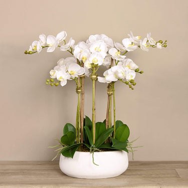 Flowers-Oasis Artificial Orchids in White Pot-Bloomr
