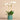 Flowers-Orchid Arrangement in Ceramic Vase-Bloomr