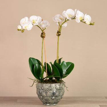 Flowers-Orchid Arrangement in Ceramic Vase (Discontinued)-Bloomr