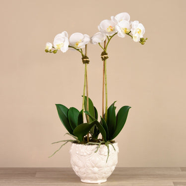 Flowers-Orchid Arrangement in Ceramic Vase-Bloomr