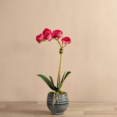 Flowers-Coastal Artificial Orchid Arrangement-Bloomr