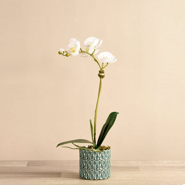 Flowers-Artificial Orchid Arrangement-Bloomr