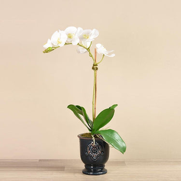 Flowers-Artificial Orchid Arrangement-Bloomr