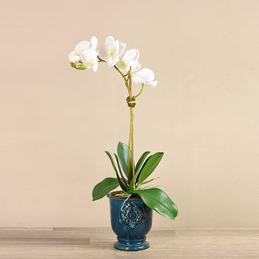 Flowers-Artificial Orchid Arrangement-Bloomr