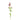 Flowers-Mint Spray-Bloomr