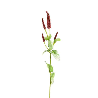 Flowers-Mint Spray-Bloomr