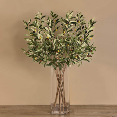 Flowers-Olive Stems Arrangement in Glass Vase-Bloomr