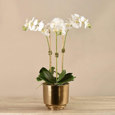 Flowers-Artificial Orchid in Gold Vase-Bloomr