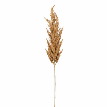 Flowers-Pampas Grass-Bloomr