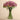 Floral Arrangement-Artificial Ranunculus Arrangement in Glass Vase-Bloomr