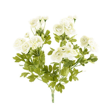 Flowers-Ranunculus-Bloomr
