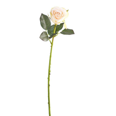 Flowers-Rose-Bloomr