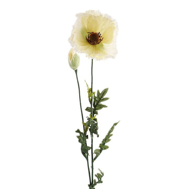 Flowers-Scarlet-Bloomr
