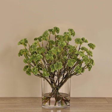Floral Arrangement-Sedum Arrangement in Glass Vase-Bloomr