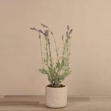 Flowers-Artificial Potted Lavender-Bloomr